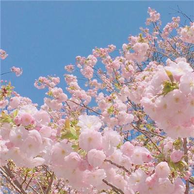 古剑逍遥无限元宝版下载
