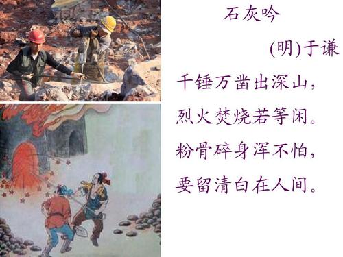 纵横仙域官方